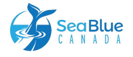 Sea Blue logo_colour