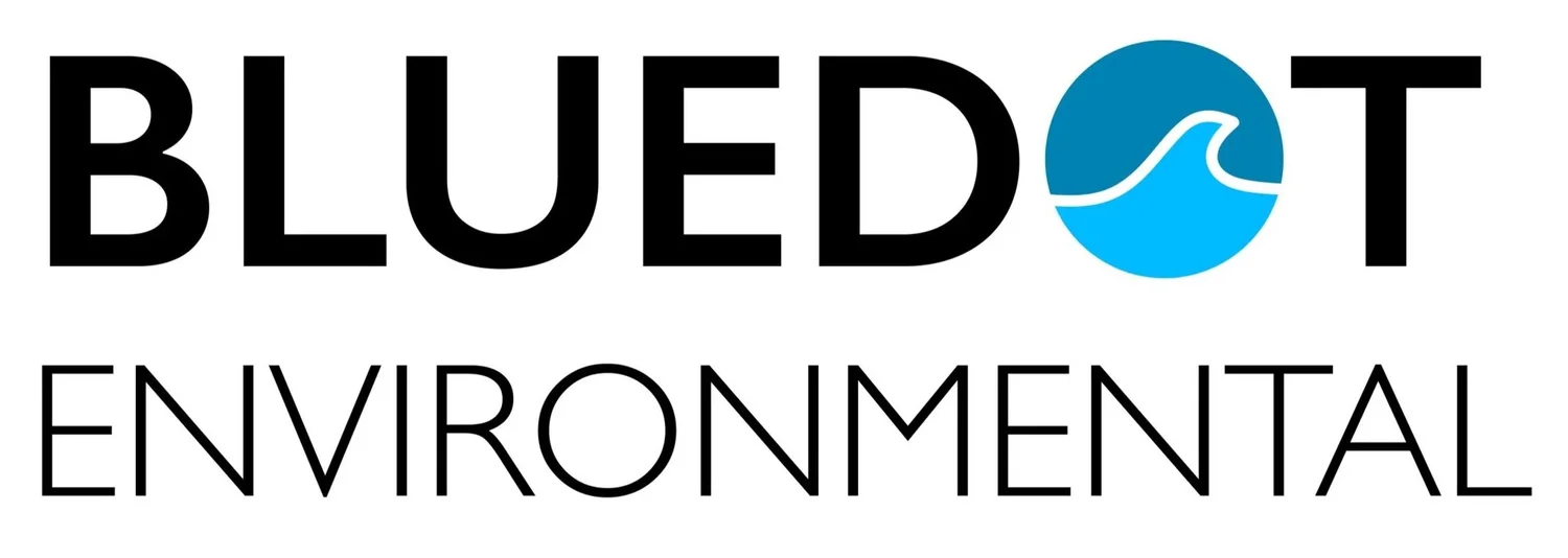 Bluedot+wave+logo